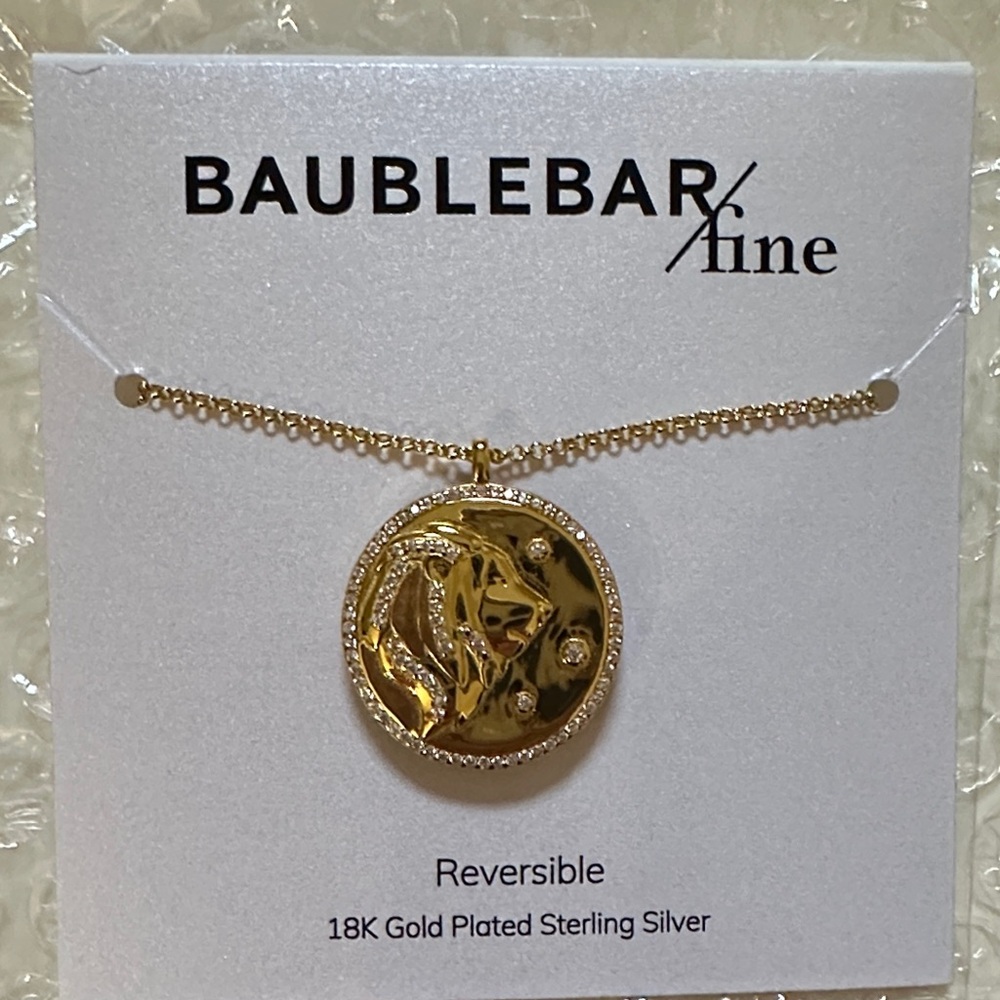 BaubleBar Fine Gold-Plated Reversible Necklace